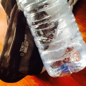 Sport und Umweltschutz